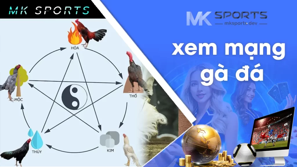 xem mạng gà đá